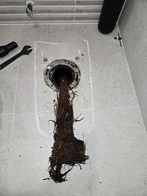 Local Plumbing Company